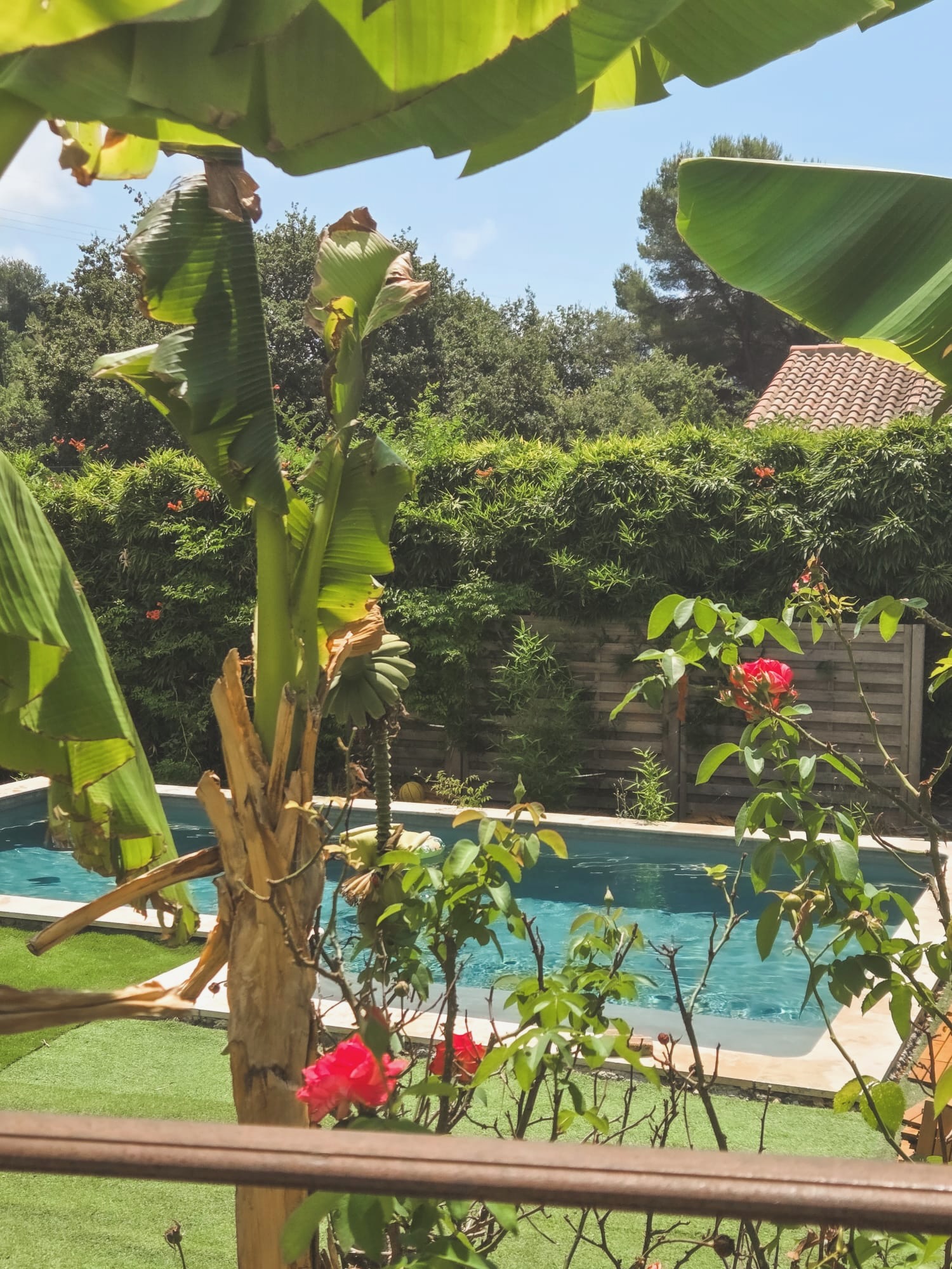 Piscine entourée du jardin planté